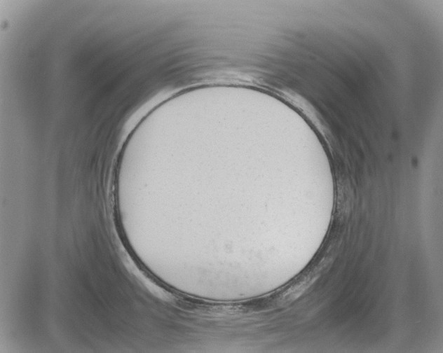 X0000081571387200702051203