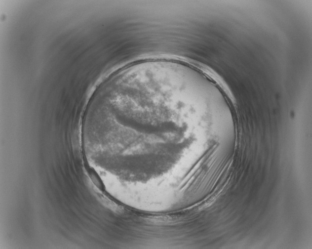 X0000081571388200702051203