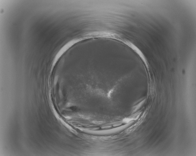 X0000081571389200702051203