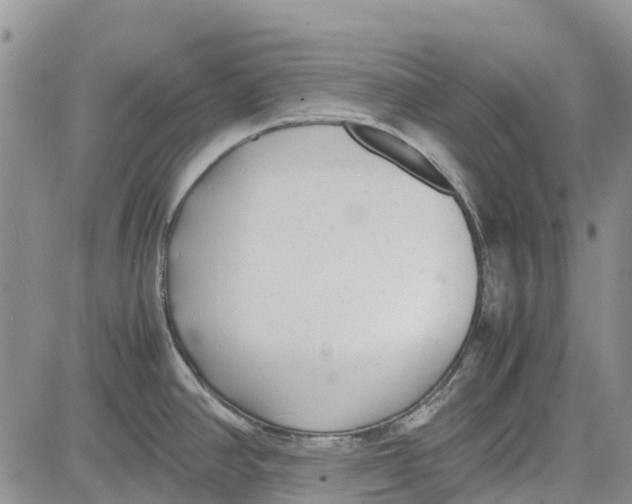 X0000081571390200702051203