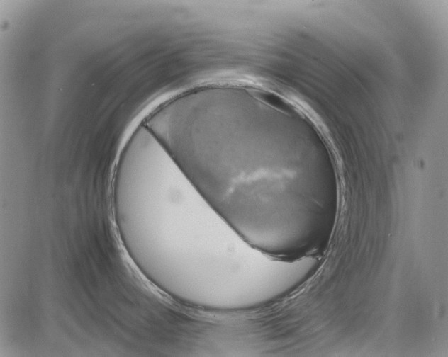 X0000081571392200702051203