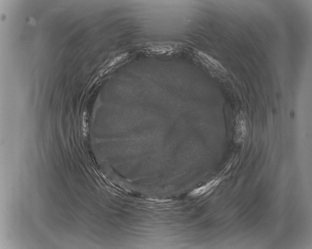 X0000081571394200702051202