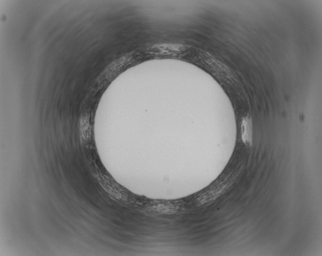 X0000081571395200702051202