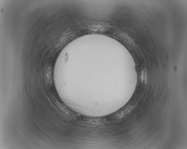 X0000081571396200702051202