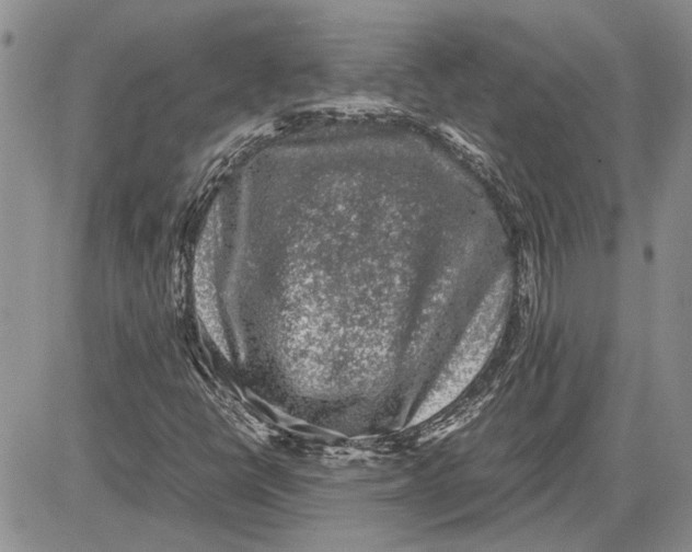 X0000081571398200702051202