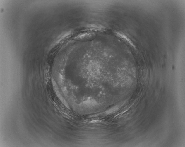 X0000081571399200702051202