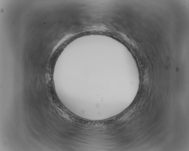 X0000081571400200702051202