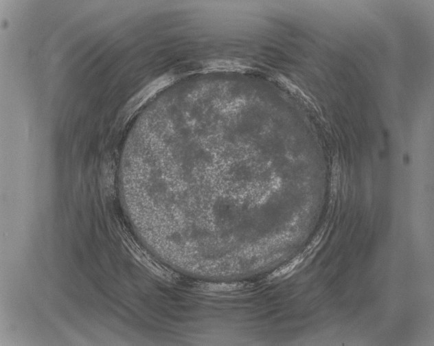 X0000081571401200702051202