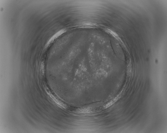 X0000081571402200702051202