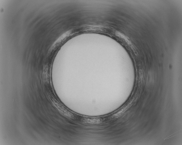 X0000081571403200702051202