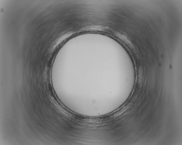 X0000081571404200702051202