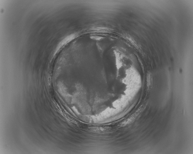 X0000081571405200702051202