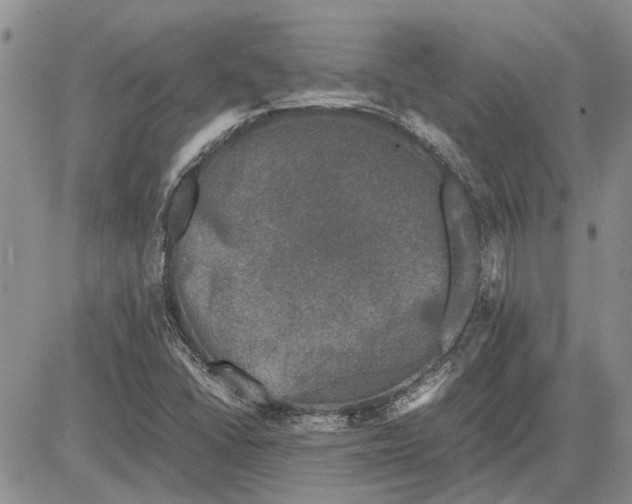 X0000081571406200702051202