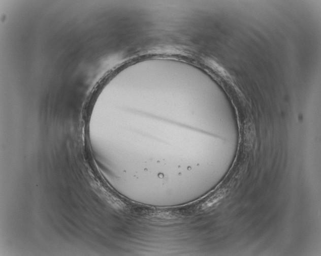 X0000081571408200702051203