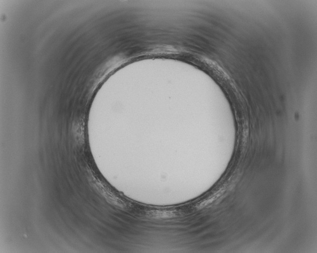 X0000081571409200702051203