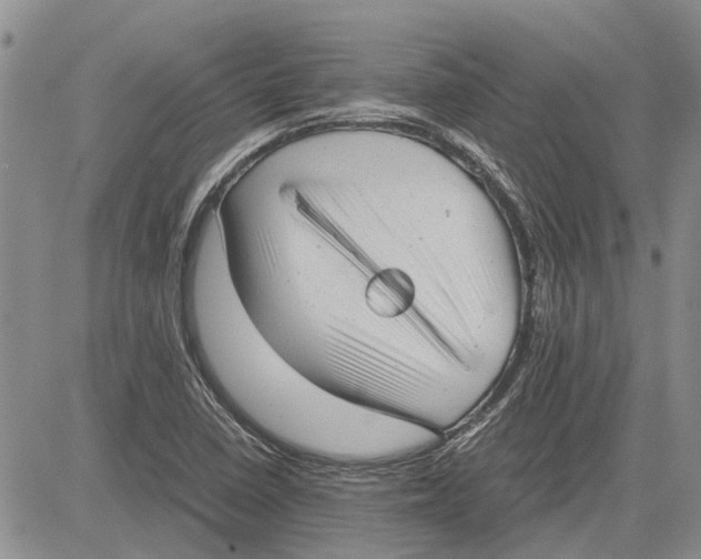 X0000081571410200702051203