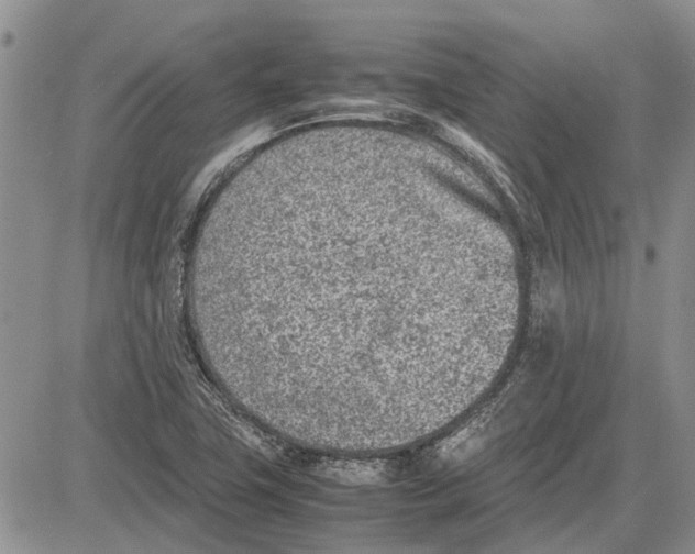 X0000081571411200702051203