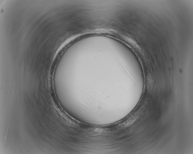 X0000081571412200702051203