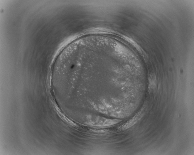 X0000081571413200702051203