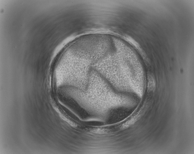 X0000081571414200702051203