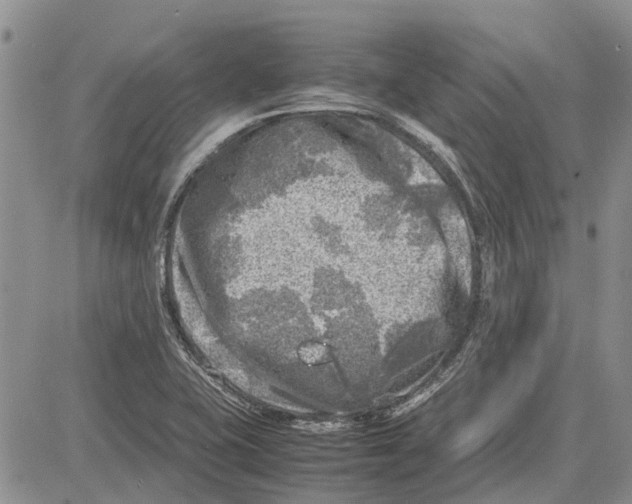 X0000081571415200702051203