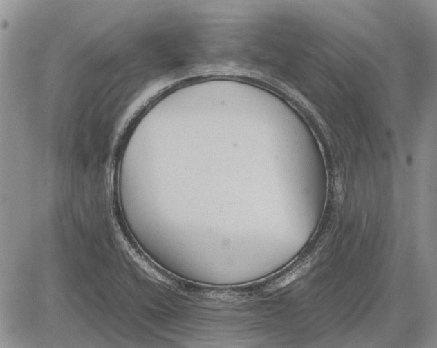 X0000081571416200702051203