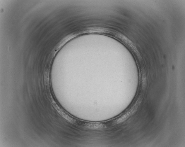 X0000081571417200702051203