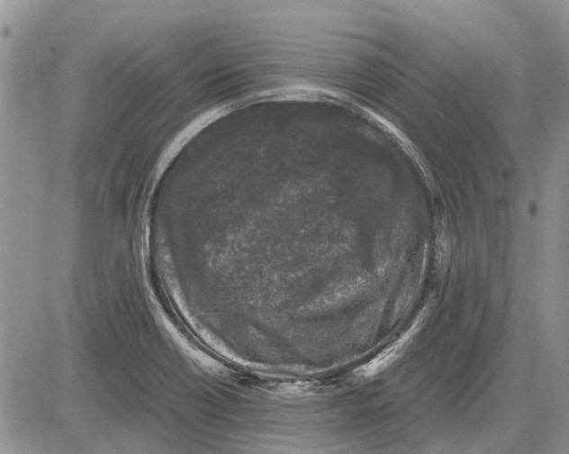 X0000081571418200702051203