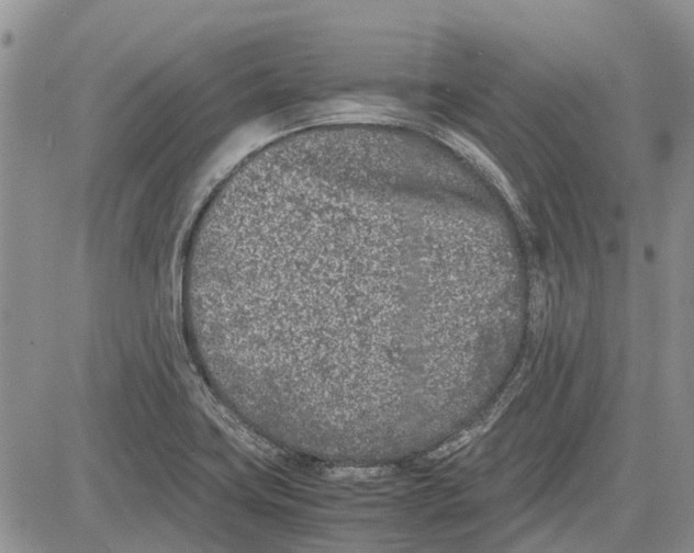 X0000081571419200702051203