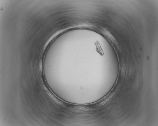 X0000081571420200702051203