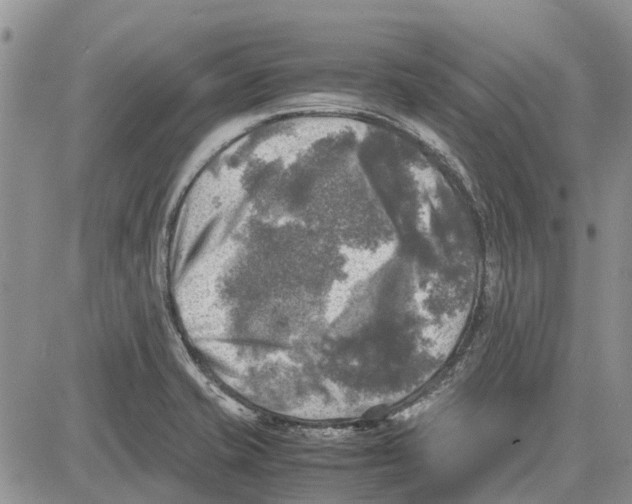 X0000081571421200702051203