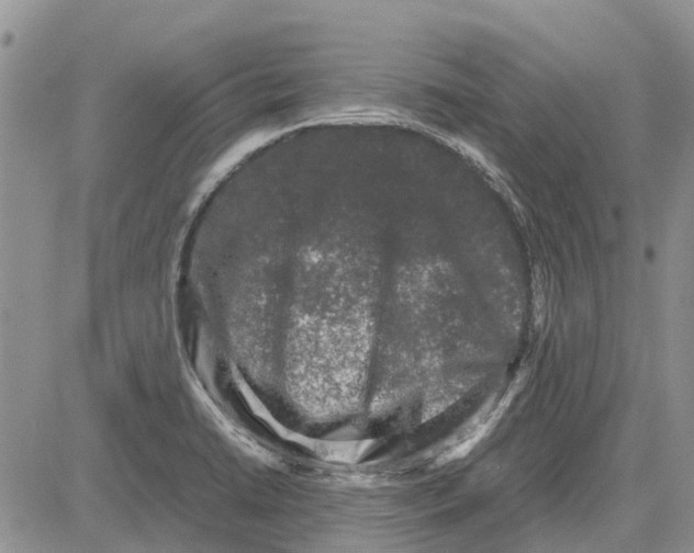 X0000081571422200702051203