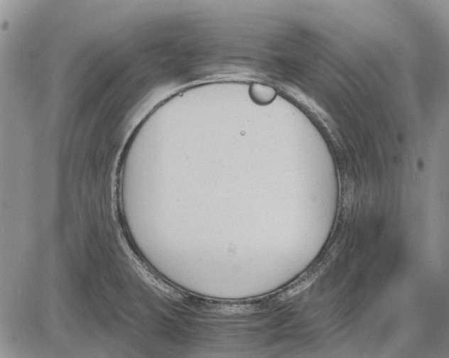 X0000081571423200702051203