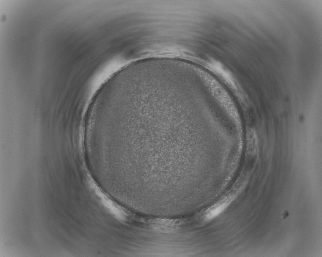 X0000081571424200702051203