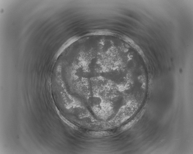 X0000081571425200702051203