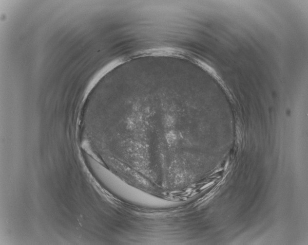 X0000081571426200702051203