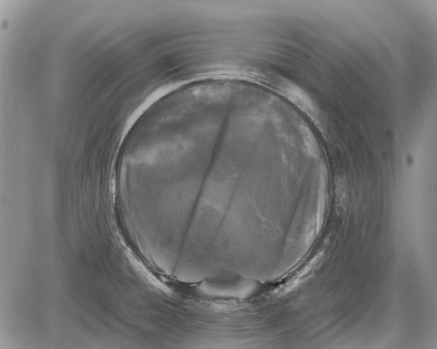 X0000081571428200702051203