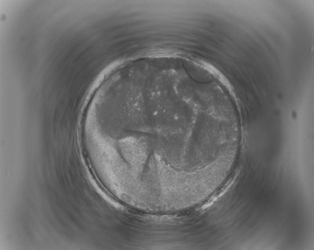 X0000081571429200702051203