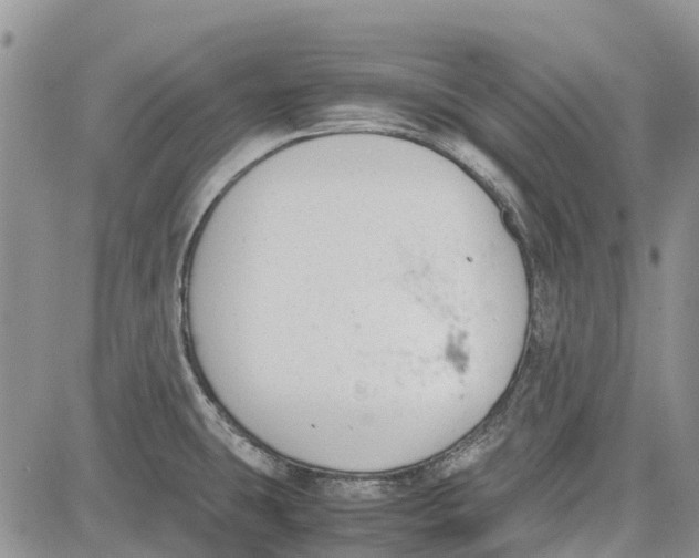 X0000081571431200702051203