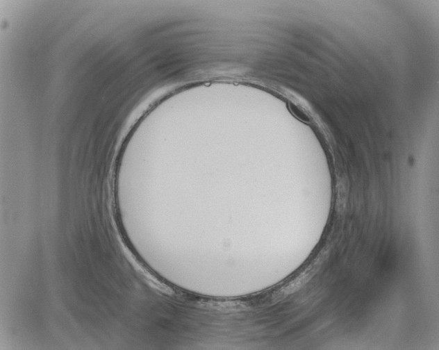 X0000081571432200702051203