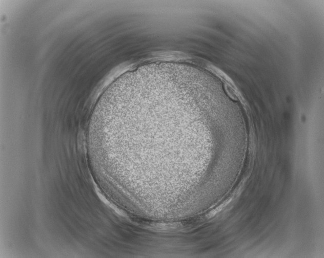 X0000081571433200702051203