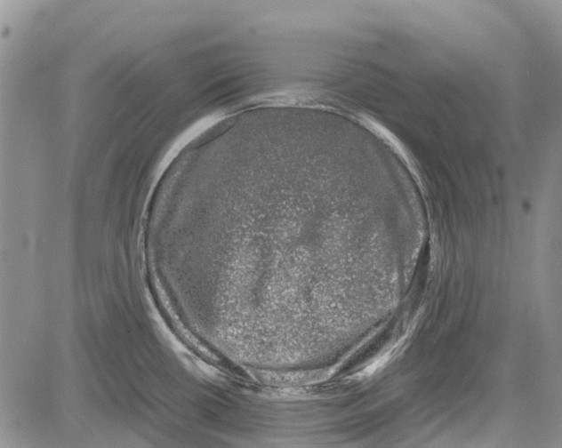 X0000081571434200702051203