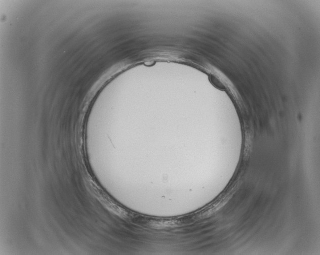 X0000081571435200702051203