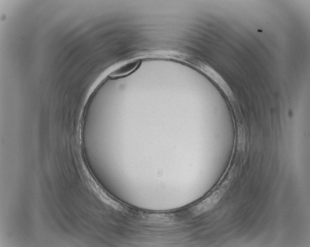 X0000081571436200702051203