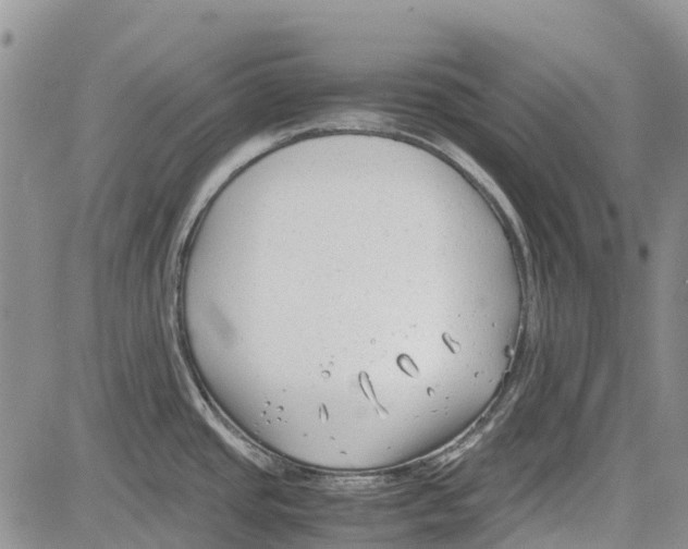 X0000081571437200702051203