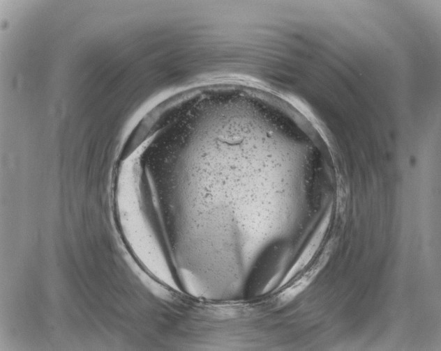 X0000081571438200702051203