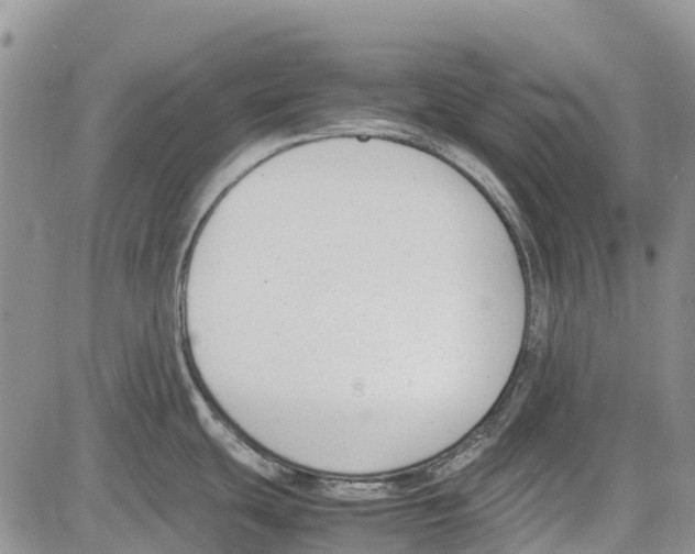 X0000081571439200702051203