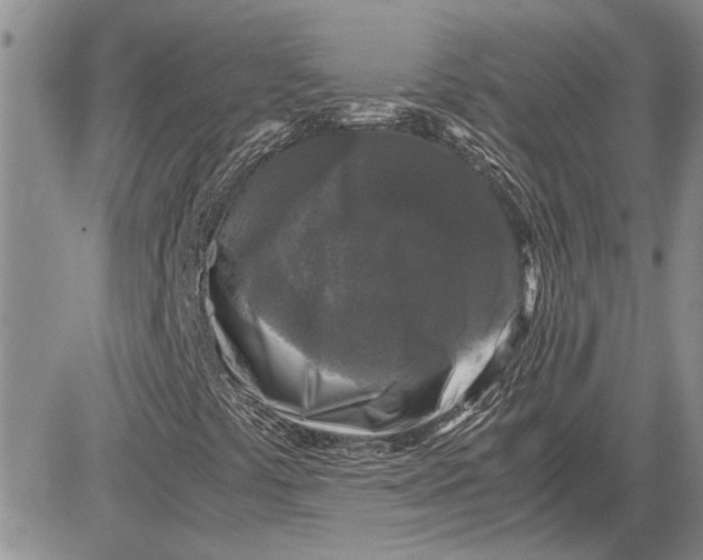 X0000081571441200702051202