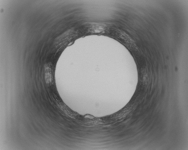 X0000081571442200702051202