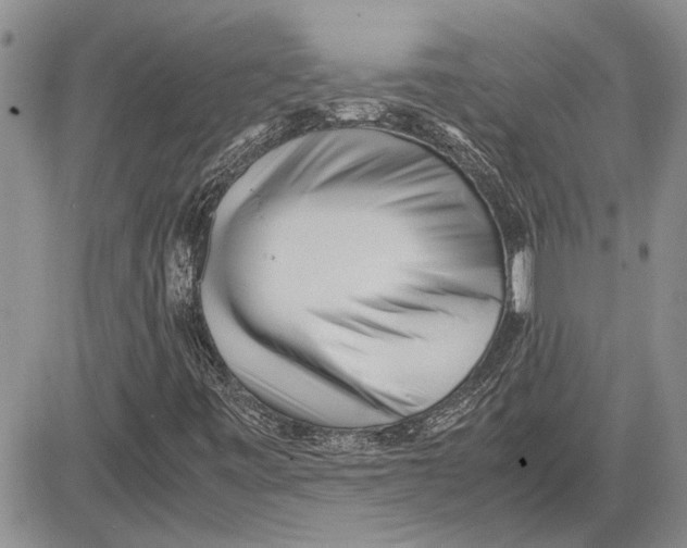 X0000081571443200702051202